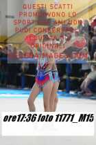 11771_M15-