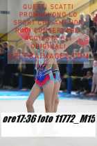 11772_M15-