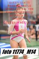 11774_M14-
