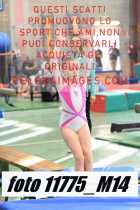 11775_M14-