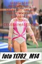 11782_M14-
