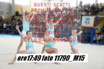 11790_M15-