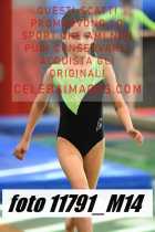 11791_M14-