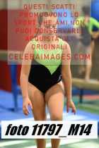 11797_M14-