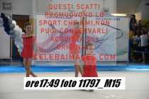 11797_M15-
