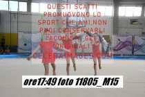 11805_M15-