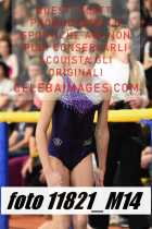 11821_M14-