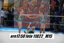 11822_M15-