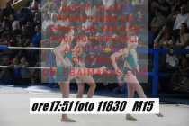 11830_M15-