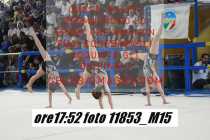 11853_M15-