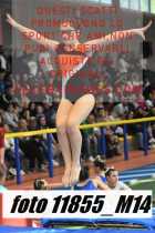 11855_M14-
