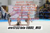 11885_M15-
