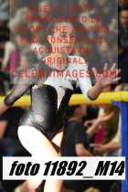 11892_M14-