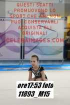 11893_M15-