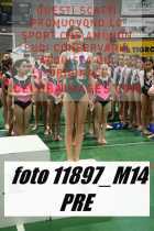 11897_M14-PRE
