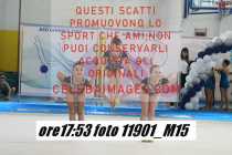 11901_M15-