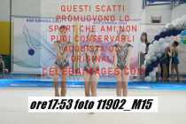 11902_M15-