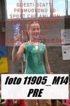 11905_M14-PRE