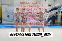 11909_M15-