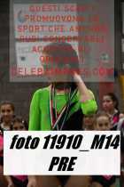11910_M14-PRE