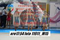 11911_M15-