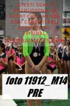11912_M14-PRE