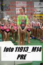11913_M14-PRE