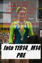 11914_M14-PRE