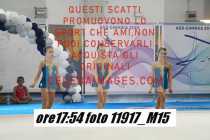 11917_M15-