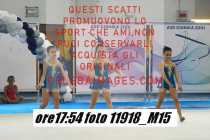 11918_M15-