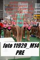 11929_M14-PRE