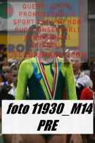 11930_M14-PRE