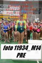11934_M14-PRE