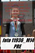 11936_M14-PRE