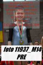 11937_M14-PRE