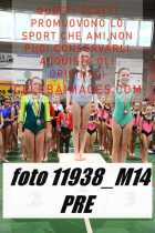 11938_M14-PRE