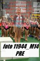 11944_M14-PRE