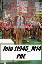 11945_M14-PRE