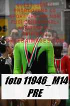 11946_M14-PRE
