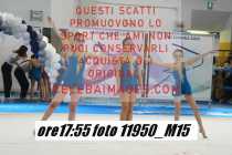 11950_M15-