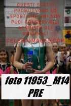 11953_M14-PRE