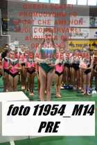 11954_M14-PRE