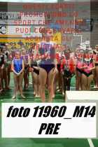 11960_M14-PRE