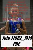 11962_M14-PRE