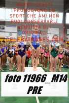 11966_M14-PRE