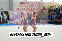 11966_M15-