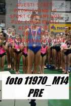 11970_M14-PRE