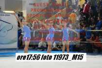 11973_M15-