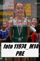 11974_M14-PRE