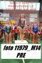 11979_M14-PRE